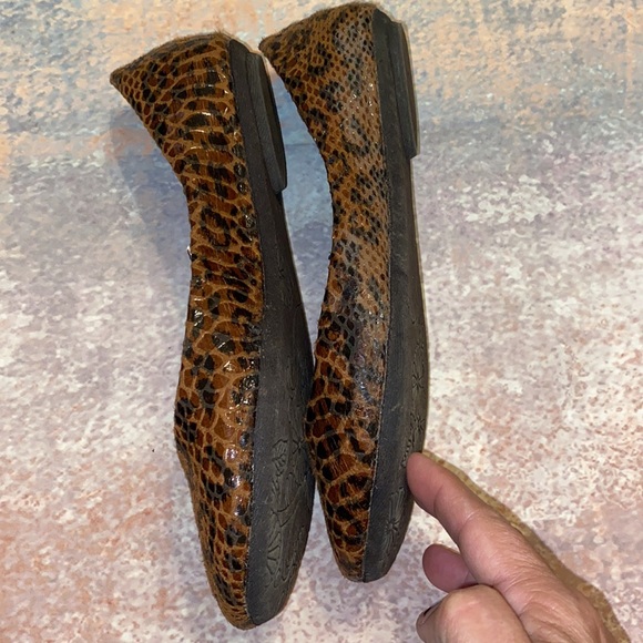 Steve Madden P-Heaven Patent Flat Ballet Style Shoe Snakeskin Leopard Pattern - Picture 9 of 14